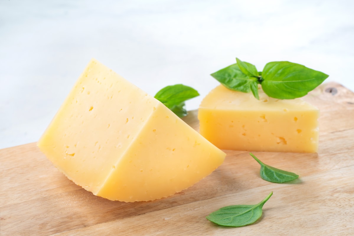 Pasta italiana senza lattosio